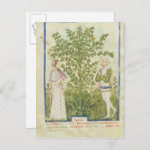 Nouv Acq Lat Celery von 'Tacuinum Sanitatis' Postkarte (Vorne/Hinten)