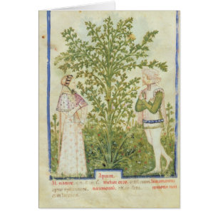 Nouv Acq Lat-Sellerie, von 'Tacuinum Sanitatis