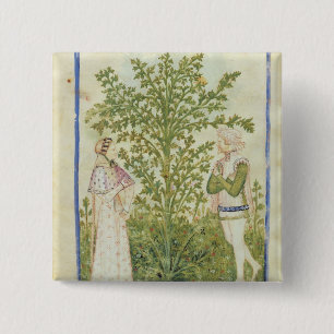 Nouv Acq Lat-Sellerie, von 'Tacuinum Sanitatis Button