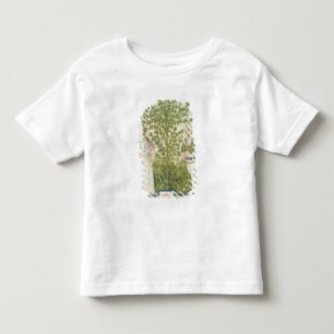 Nouv Acq Lat-Sellerie, von 'Tacuinum Sanitatis Kleinkind T-shirt