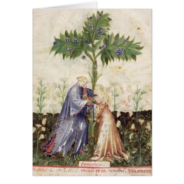 Nouv Acq LatFennel, von 'Tacuinum Sanitatis (Vorne)