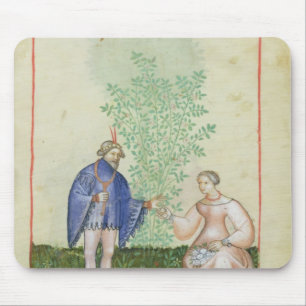 Nouv Acq LatRoses, von 'Tacuinum Sanitatis Mousepad