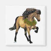 Nouvelle Icelandic Magnet (Vorne)