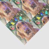 Nova, das goldene Retriever Weihnachtszettel Seidenpapier (Ausschnitt)