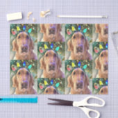 Nova, das goldene Retriever Weihnachtszettel Seidenpapier (Handwerk)