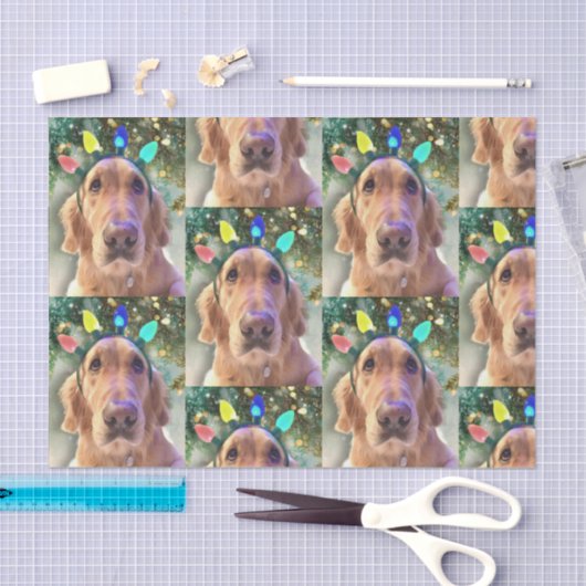 Nova, das goldene Retriever Weihnachtszettel Seidenpapier (Handwerk)