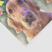 Nova, das goldene Retriever Weihnachtszettel Seidenpapier (Ausschnitt)