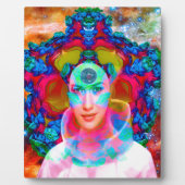 Nova Fotoplatte (Vorderseite)