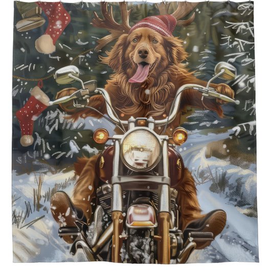 Nova Scotia Dog Christmas Duschvorhang (Vorderseite)