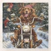 Nova Scotia Dog Riding Motorrad Weihnachten Glasuntersetzer (Vorderseite)