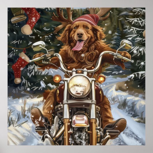 Nova Scotia Dog Riding Motorrad Weihnachten Poster (Vorne)