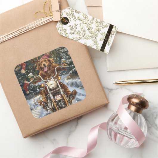 Nova Scotia Dog Riding Motorrad Weihnachten Quadratischer Aufkleber (Schenken)