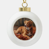 Nova Scotia Duck Terrier im Herbst Leaves Fall Keramik Kugel-Ornament (Vorderseite)