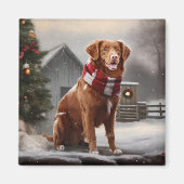 Nova Scotia Duck Toller Dog Schnee Weihnachten Magnet (Vorne)
