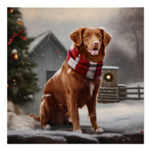 Nova Scotia Duck Toller Dog Schnee Weihnachten Poster
