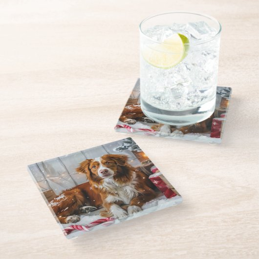 Nova Scotia Duck Toller Dog Weihnachtsfest Glasuntersetzer (Schrägansicht)