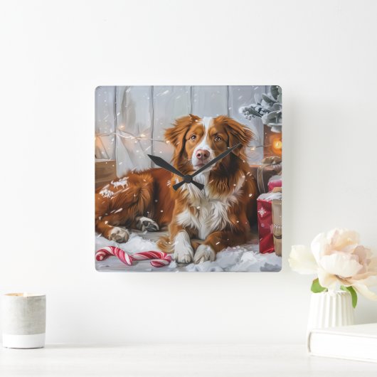 Nova Scotia Duck Toller Dog Weihnachtsfest Quadratische Wanduhr (Zuhause)