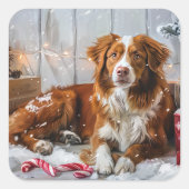 Nova Scotia Duck Toller Dog Weihnachtsfest Quadratischer Aufkleber (Vorderseite)
