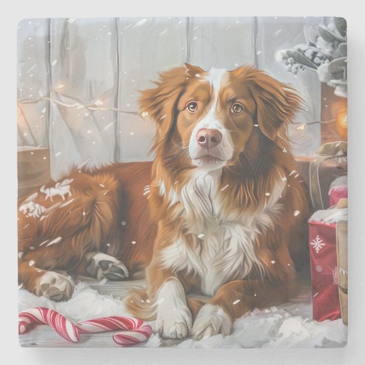 Nova Scotia Duck Toller Dog Weihnachtsfest Steinuntersetzer (Vorderseite)