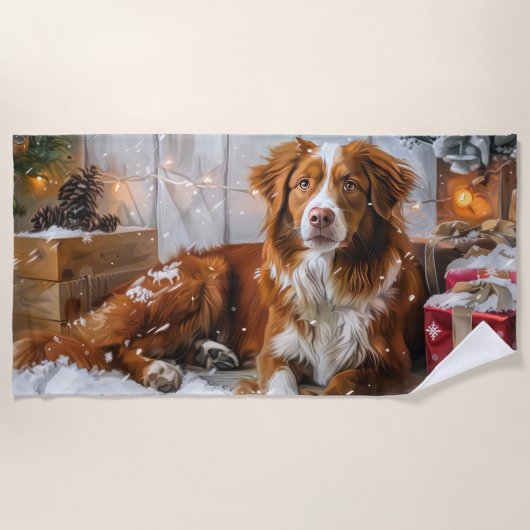 Nova Scotia Duck Toller Dog Weihnachtsfest Strandtuch (Vorderseite)