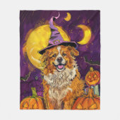 Nova Scotia Duck Toller Halloween HexenkPumpkin Fleecedecke (Vorderseite)