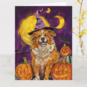 Nova Scotia Duck Toller Halloween HexenkPumpkin Karte