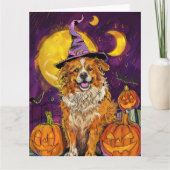 Nova Scotia Duck Toller Halloween HexenkPumpkin Karte (Vorderseite)