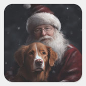 Nova Scotia Duck Toller mit dem Weihnachtsmann fei Quadratischer Aufkleber (Vorderseite)