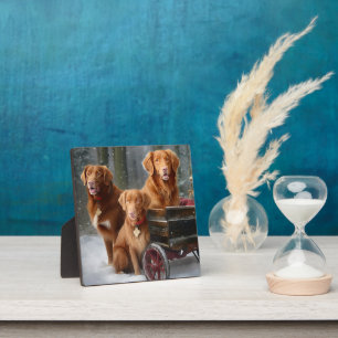 Nova Scotia Duck Toller Retriever Schnee Schlitten Fotoplatte
