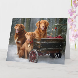 Nova Scotia Duck Toller Retriever Schnee-Schlitten Karte