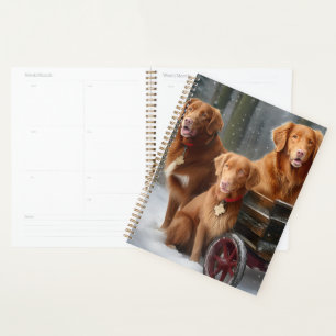 Nova Scotia Duck Toller Retriever Schnee-Schlitten Planer
