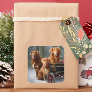 Nova Scotia Duck Toller Retriever Schnee-Schlitten Quadratischer Aufkleber
