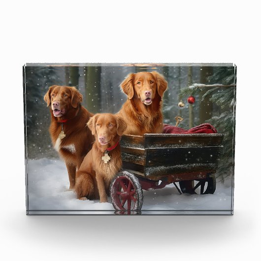 Nova Scotia Duck Toller Retriever Snowy Sleigh Fotoblock (Vorderseite)
