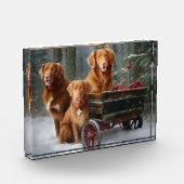 Nova Scotia Duck Toller Retriever Snowy Sleigh Fotoblock (Links)