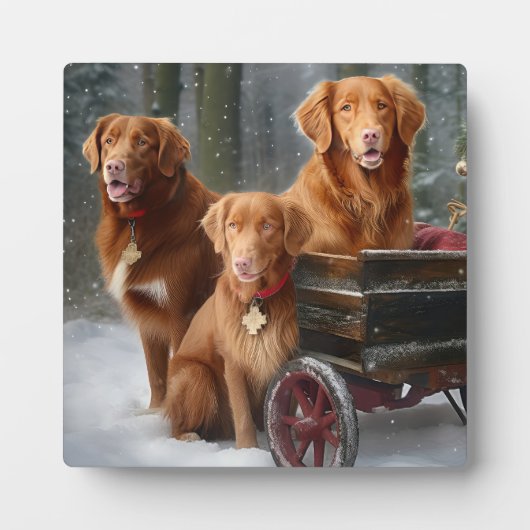 Nova Scotia Duck Toller Retriever Snowy Sleigh Fotoplatte (Vorderseite)