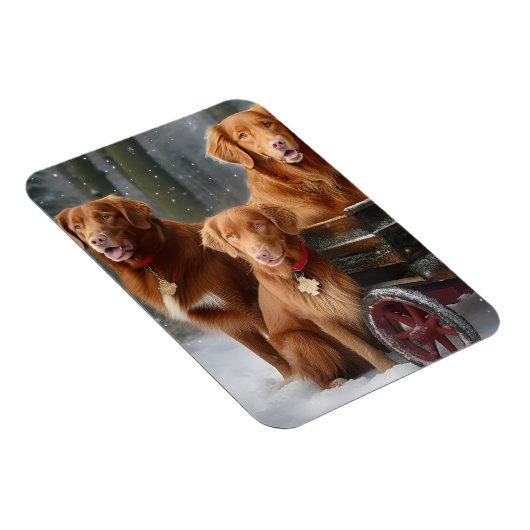 Nova Scotia Duck Toller Retriever Snowy Sleigh Magnet (Rechte Seite)