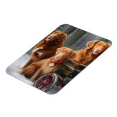 Nova Scotia Duck Toller Retriever Snowy Sleigh Magnet (Linke Seite)