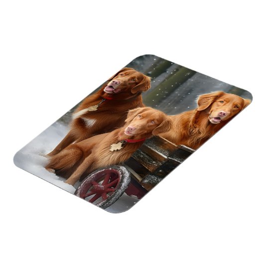 Nova Scotia Duck Toller Retriever Snowy Sleigh Magnet (Linke Seite)
