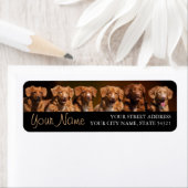 Nova Scotia Duck Tollers: Rücksendeadresse (Insitu)