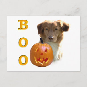 Nova Scotia Duck Tolling Boo Postkarte