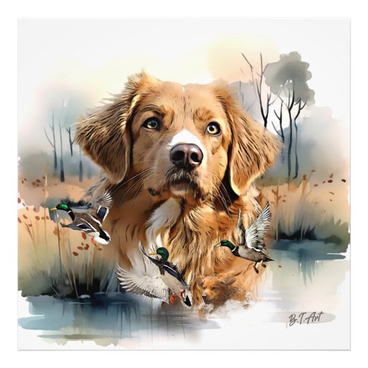 Nova Scotia Duck Tolling Retriever, Art Fotodruck (Vorne)