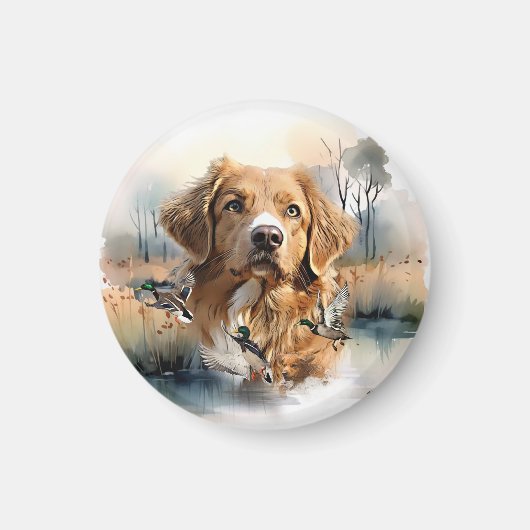 Nova Scotia Duck Tolling Retriever, Art Magnet (Vorne)