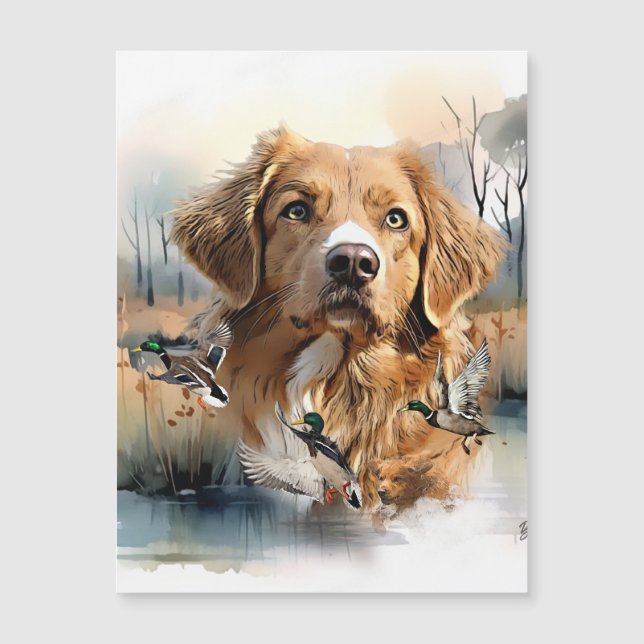 Nova Scotia Duck Tolling Retriever, Art Magnetkarte (Vorderseite)