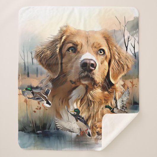 Nova Scotia Duck Tolling Retriever, Art Sherpadecke (Vorderseite)