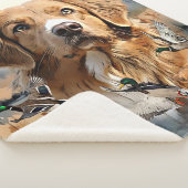 Nova Scotia Duck Tolling Retriever, Art Sherpadecke (3/4)