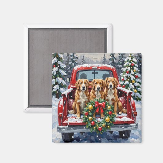 Nova Scotia Duck Tolling Retriever Christmas Red Magnet (Vorderseite/Rückseite)