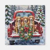 Nova Scotia Duck Tolling Retriever Christmas Red Magnet (Vorne)