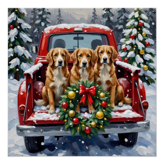Nova Scotia Duck Tolling Retriever Christmas Red Poster (Vorderseite)