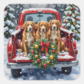 Nova Scotia Duck Tolling Retriever Christmas Red Quadratischer Aufkleber (Vorderseite)