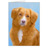 Nova Scotia Duck Tolling Retriever Dog Painting (Vorne)